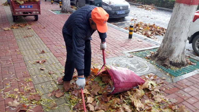 風急雨驟落葉多 周口環(huán)衛(wèi)工人清掃忙