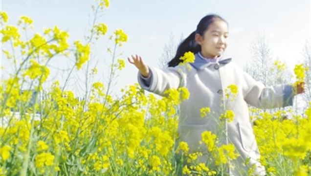 油菜花開惹人醉