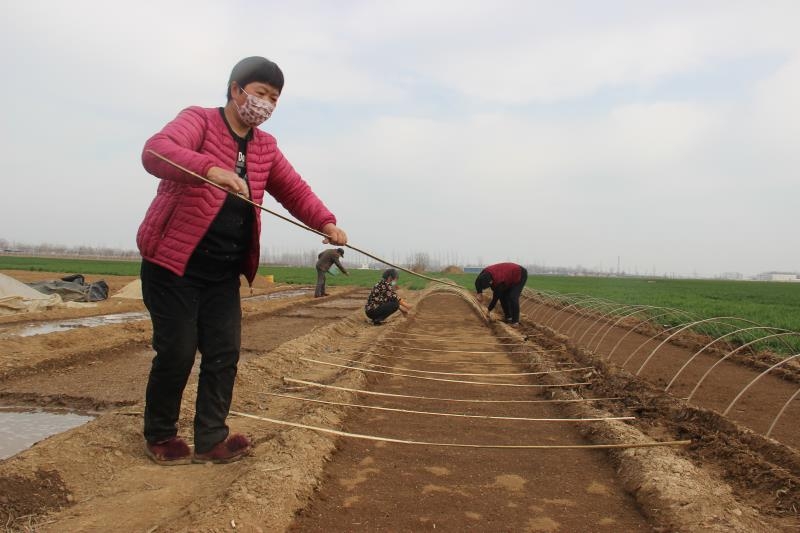 疫情防控、春耕生產(chǎn)兩手抓