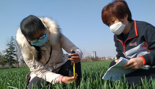 開展農田調查 助力春耕備耕復工復產