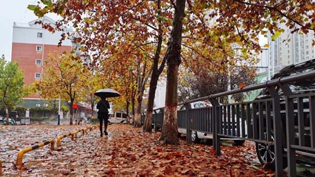 雨中周口，別有一番韻味