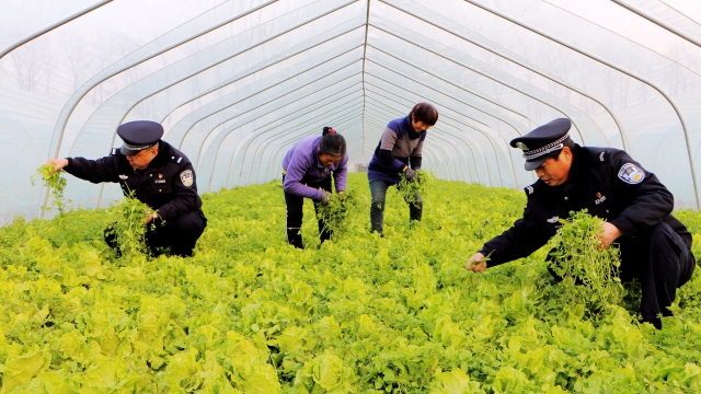 民警幫扶貧困戶(hù) 細(xì)致入微暖人心