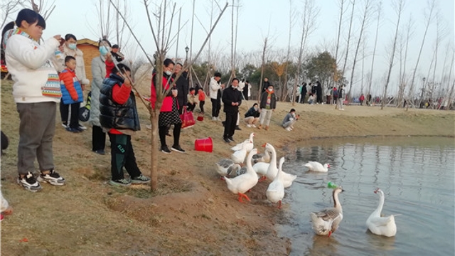 淮陽(yáng)梅園：梅花迎春開 游玩好去處