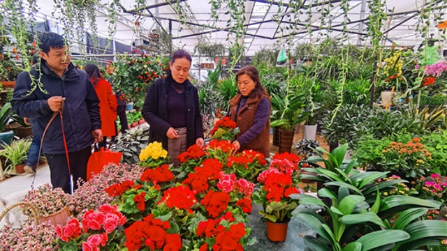 春天到 周口花卉市場“升溫”