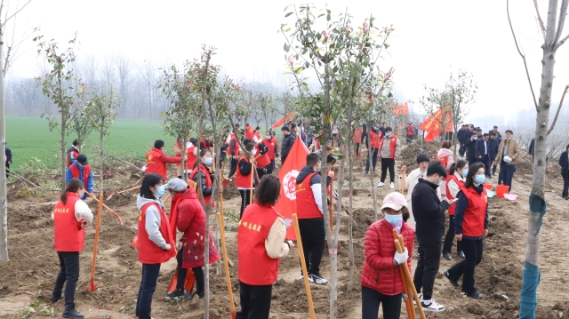 鄲城:春季植樹(shù)  大地增綠